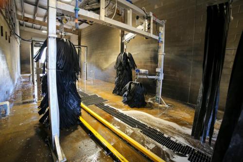 1st-Honda-Car-Wash-48